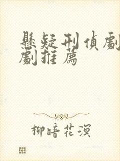 悬疑刑侦剧破案剧推荐封面