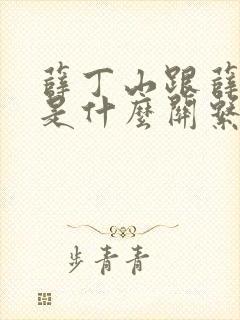 薛丁山跟薛仁贵是什么关系