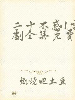 二十不惑1电视剧全集免费观看完整版