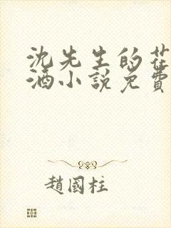 沈先生的花式调酒小说免费阅读