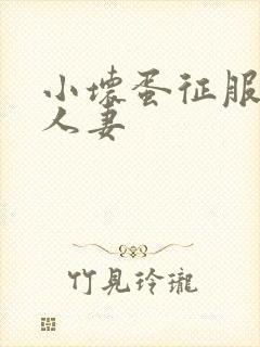 小坏蛋征服丰满人妻