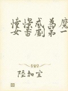 憧憬成为魔法少女番剧第一季