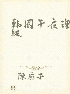 韩国午夜理伦三级