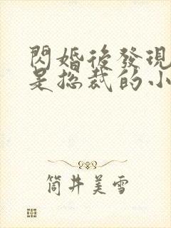 闪婚后发现老公是总裁的小说