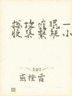 总攻催眠—情欲收集系统小说免费阅