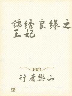 锦绣良缘之北地王妃