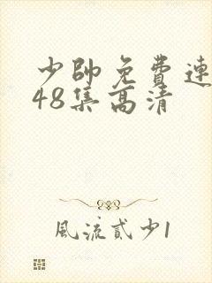 少帅免费连续剧48集高清