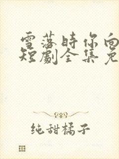 雪落时你向南飞短剧全集免费观看