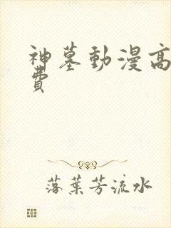 神墓动漫高清免费