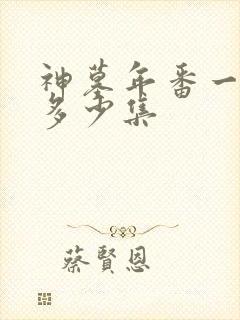 神墓年番一共有多少集