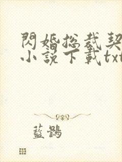 闪婚总裁契约妻小说下载txt封面