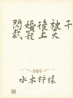 闪婚后被千亿总裁宠上天