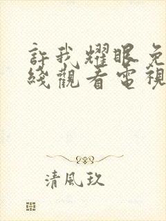 许我耀眼免费在线观看电视剧