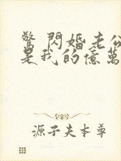 惊 闪婚老公竟是我的亿万总裁