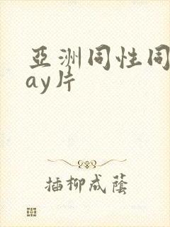 亚洲同性同志gay片