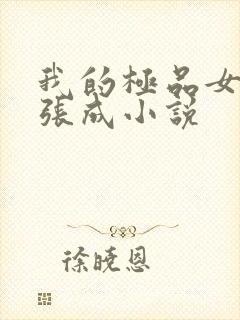 我的极品女老师张成小说