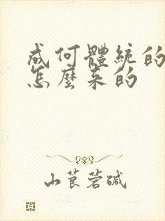 成何体统的太子怎么来的封面