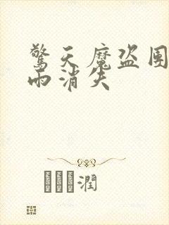 惊天魔盗团2躺雨消失