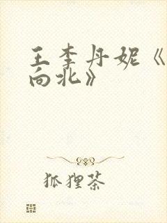 王李丹妮《一路向北》封面