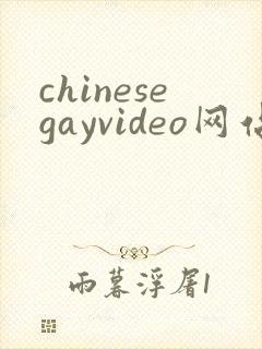 chinesegayvideo网站