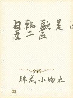 日韩 欧美 国产二区