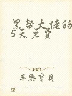 黑帮大佬的365天免费封面