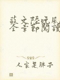 苏文陆晚风小说全章节阅读