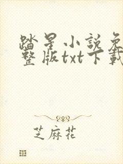 踏星小说免费完整版txt下载