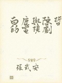 白鹿与陈哲远演的电视剧