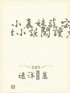 小表妹苏宓txt小说阅读免费