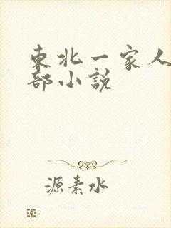 东北一家人第一部小说封面
