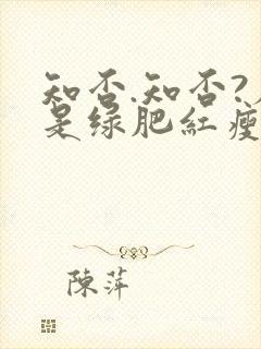 知否.知否?应是绿肥红瘦演员表