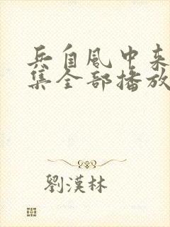 兵自风中来40集全部播放