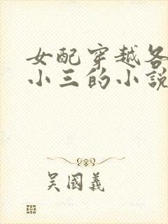 女配穿越各个做小三的小说