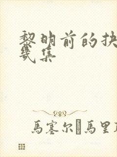 黎明前的抉择共几集