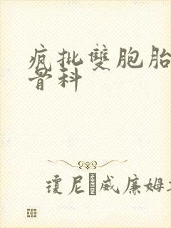 疯批双胞胎兄弟骨科封面