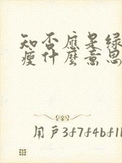 知否应是绿肥红瘦什么意思