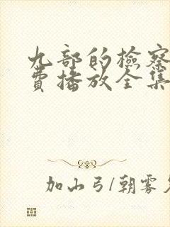 九部的检察官免费播放全集