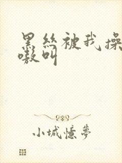 黑丝被我操得嗷嗷叫封面