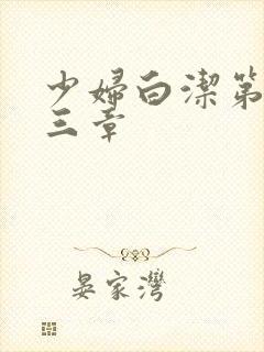 少妇白洁第二十三章