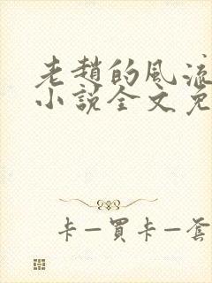 老赵的风流人生小说全文免费阅读