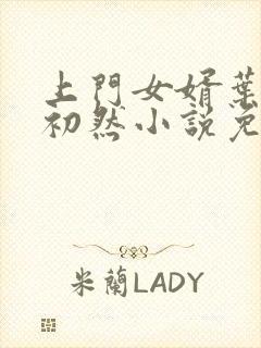 上门女婿叶辰萧初然小说免费阅读无弹窗