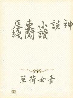 辰东小说神墓在线阅读