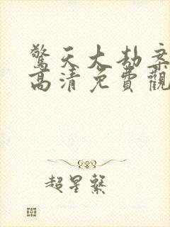 惊天大劫案在线高清免费观看国语