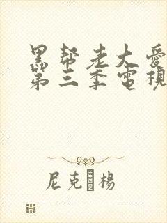 黑帮老大爱上我第三季电视剧免费观看