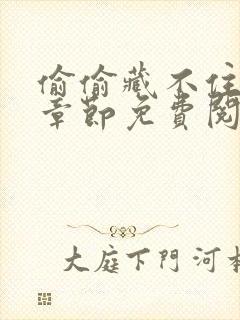 偷偷藏不住最新章节免费阅读