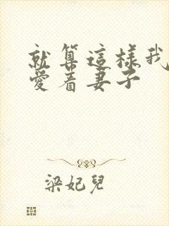 就算这样我依然爱着妻子