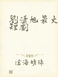 刘潇旭最火十部短剧