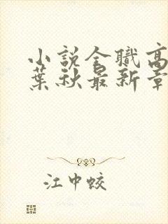 小说全职高手·叶秋最新章节在线