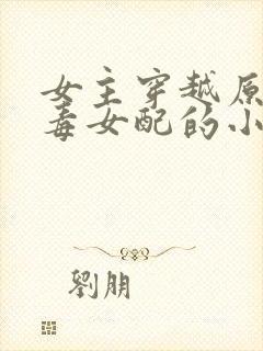 女主穿越原耽恶毒女配的小说
